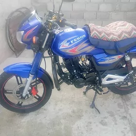 gp fekon dwitil