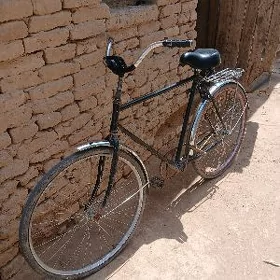 welisepit