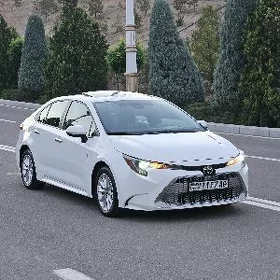 Toyota Corolla 2020