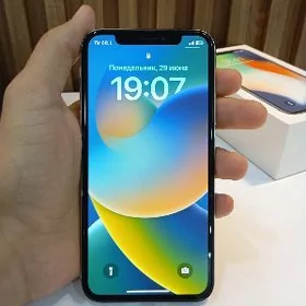 iPhone X