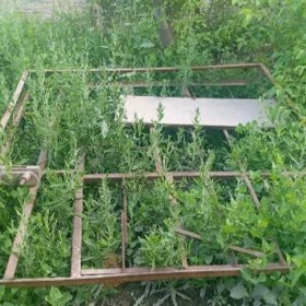 tapçan