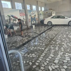 IȘGAR GEREK MOŸKA