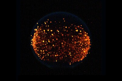 NASA Aýda bilkastlaýyn ýangyn döretmek isleýär: bu näme üçin gerek?